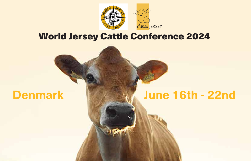 World Jersey Cattle Conference 2024 Jersey